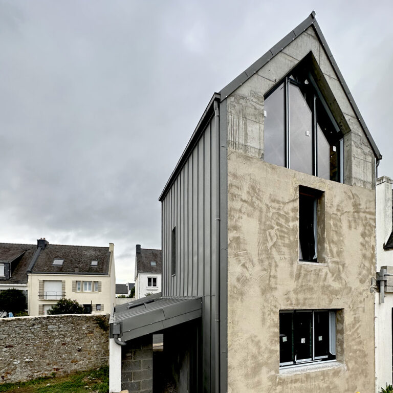 Maison moderne avec un toit et un bardage en zinc